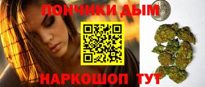 индика Моздок