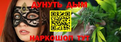 индика Моздок
