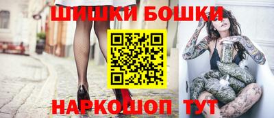 индика Моздок