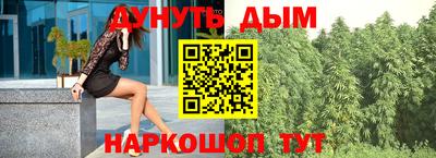 индика Моздок