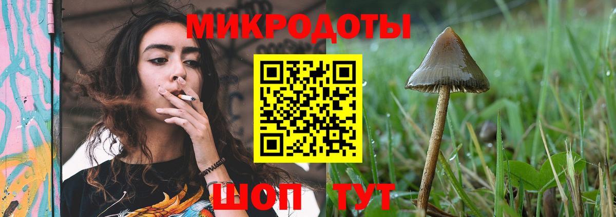 наркошоп  Псилоцибиновые грибы GOLDEN TEACHER  Вход с VPN  Чебаркуль 